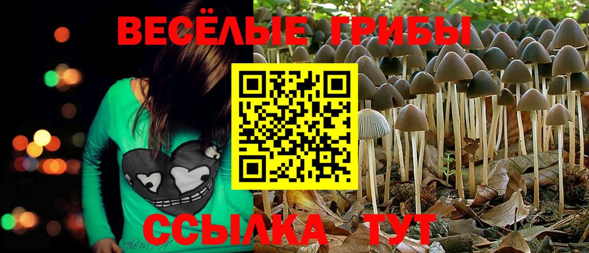 Галлюциногенные грибы прущие грибы Алушта